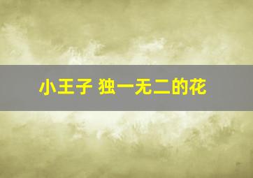 小王子 独一无二的花